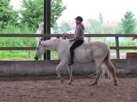 de Paardenmaat.